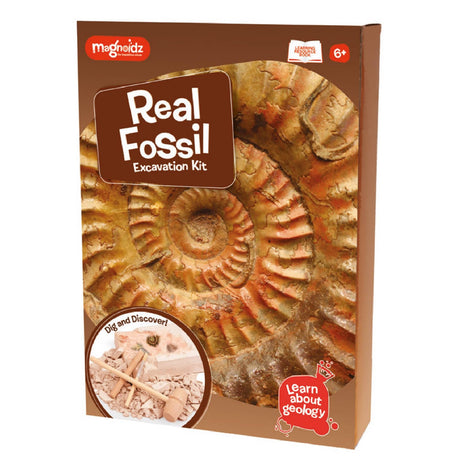 Kit paleontologie - Descopera fosile, Magnoidz, +6 ani